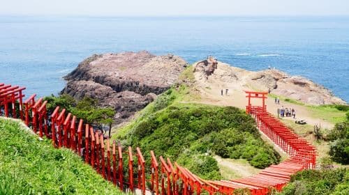 1-day tour of Mojiko Retro + Karato Fish Market + Tsunoshima Bridge + Motonosumi Shrine in Kitakyushu, Japan Day Tours