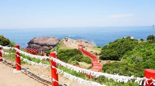 1-day tour of Mojiko Retro + Karato Fish Market + Tsunoshima Bridge + Motonosumi Shrine in Kitakyushu, Japan Day Tours