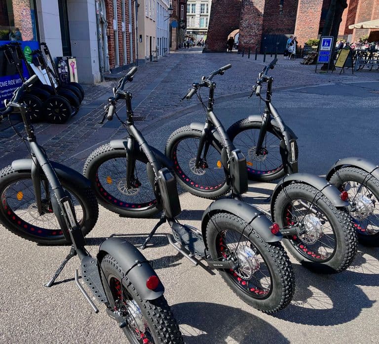 Kopenhagen: Geführte E-Scooter KickBike-Tour – Alle Highlights