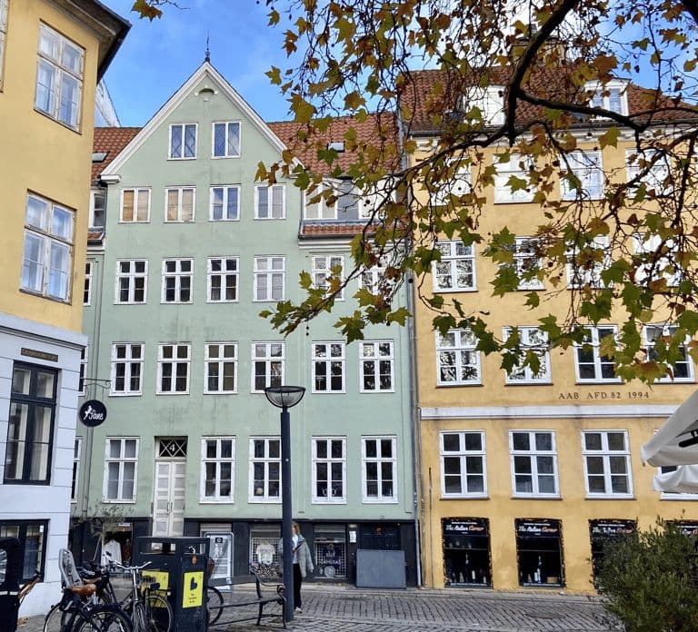 Copenhague : visite à pied « Hygge & Highlights » avec un guide local