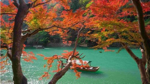 Arashiyama, Nara Park, Fushimi Inari Taisha 및 Togetsukyo Bridge 1일 투어 - Osaka 출발 일일 투어