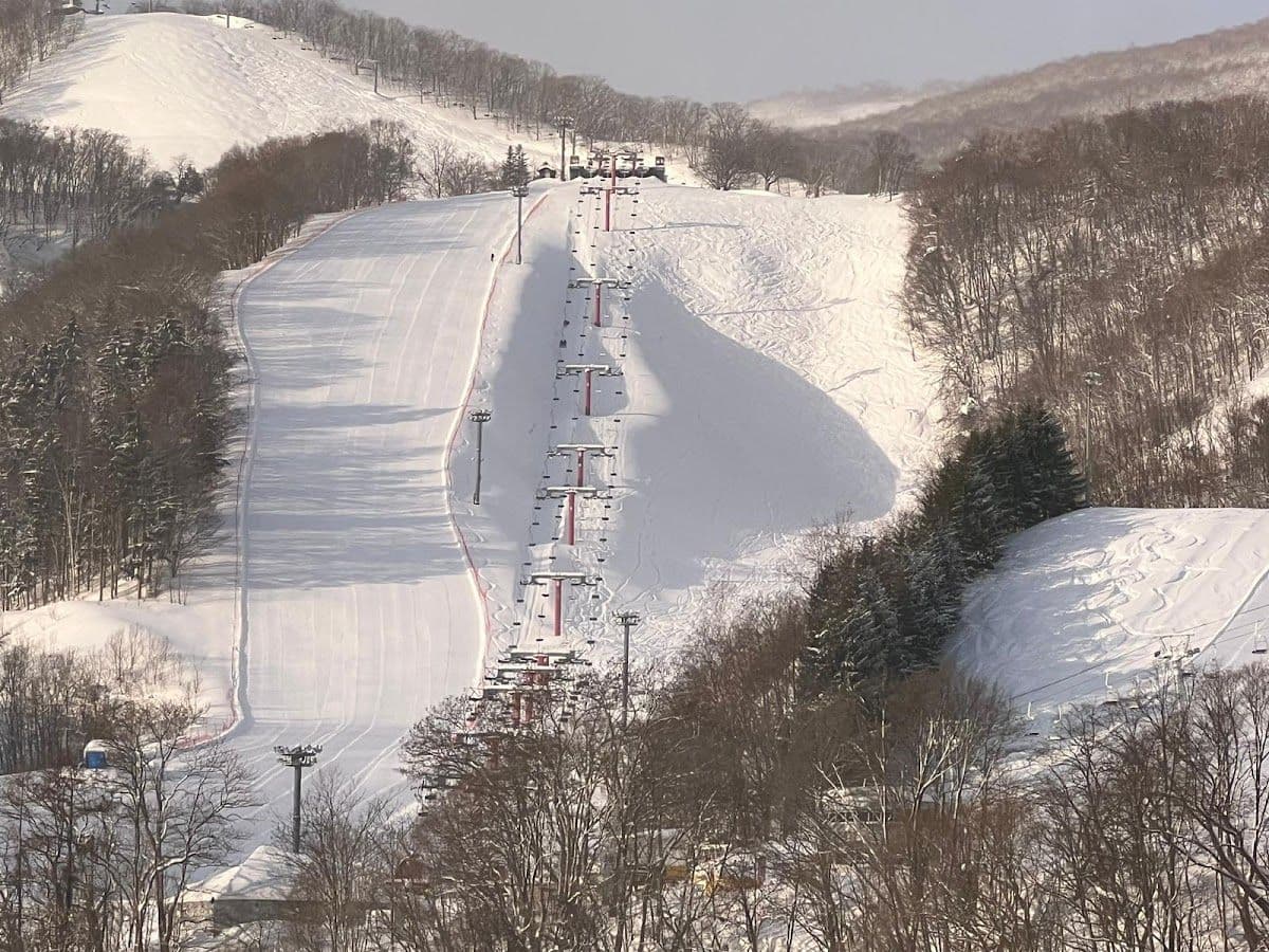 1-day tour to Asarigawa Onsen Ski Resort in Hokkaido, Japan [Sapporo city designated pick-up + Chinese/English instructors ◇ includes ski equipment]