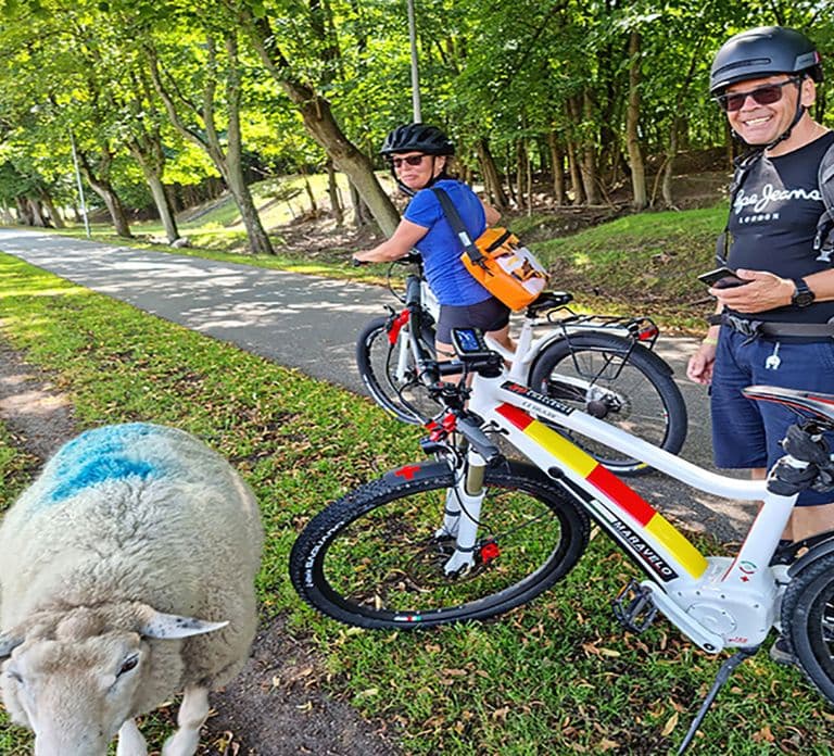 Copenhagen: Caccia al tesoro privata in e-bike alla scoperta dei Forgotten Giants