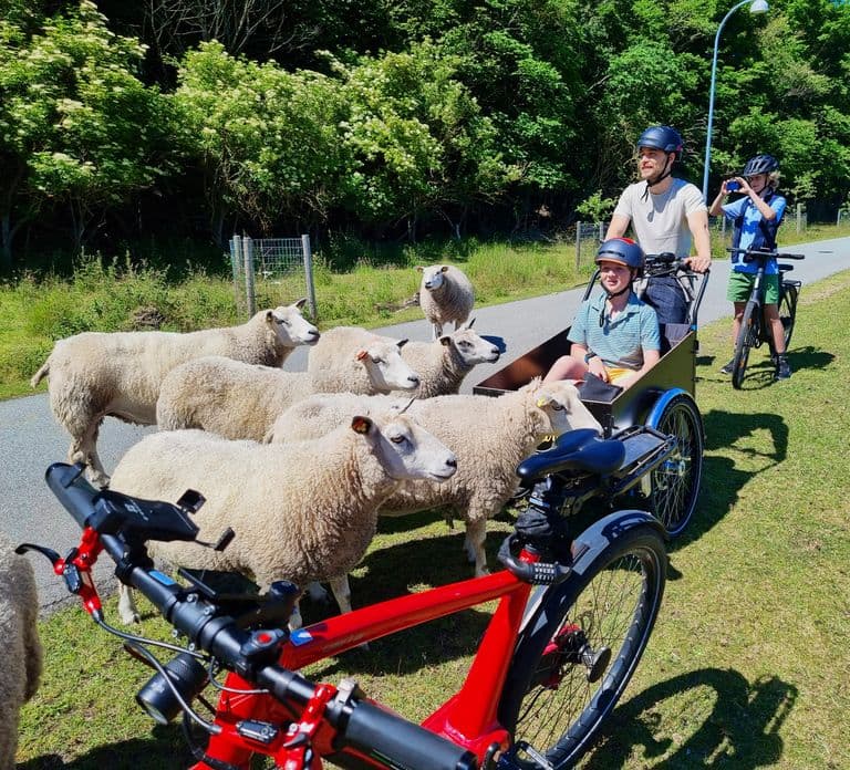 Copenhagen: Caccia al tesoro privata in e-bike alla scoperta dei Forgotten Giants
