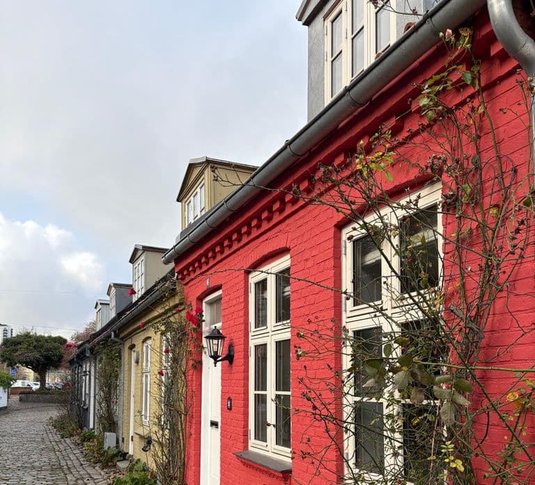 Dinamarca: Tour por Aarhus em espanhol