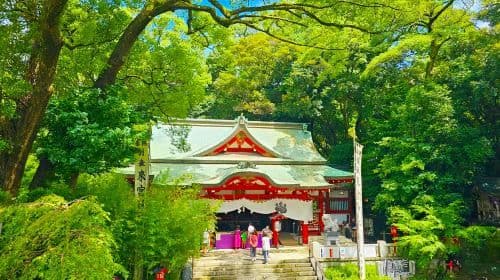 1-day tour to Atami and Mt. Omuro with fireworks [optional 9-person small group | hotel pickup | Chinese/English-speaking guide]