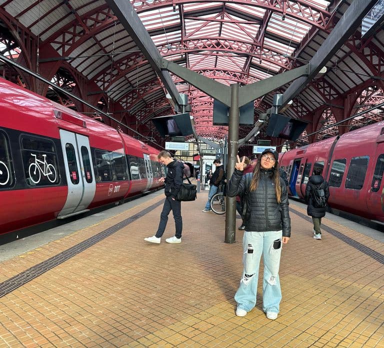 From Copenhagen: 4-hour Private Hamlet Castle Tour