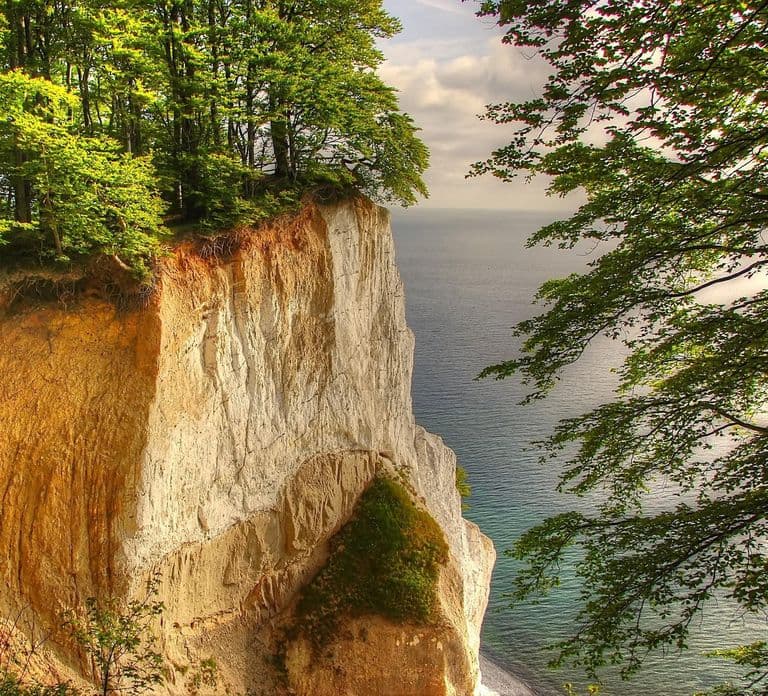 From Copenhagen: Private Tour to Monsklint and Forest Tower