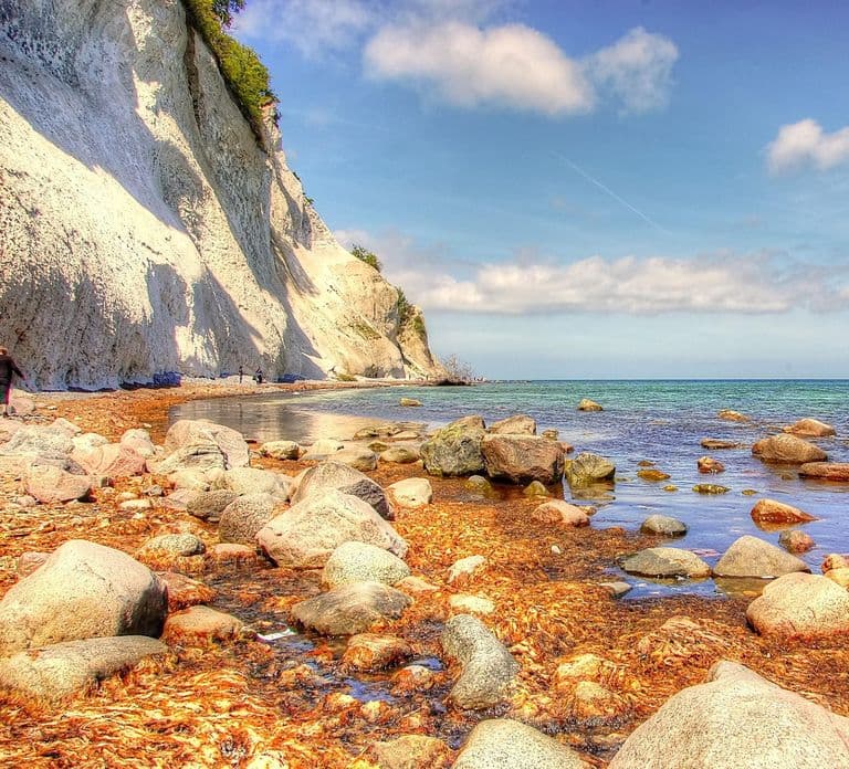 De Copenhague: Excursão Privada a Møns Klint e Forest Tower