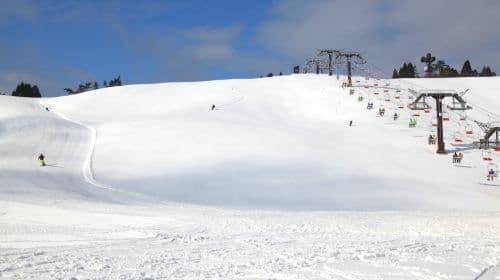 1-day tour to Biwako Hakodateyama Ski Resort in Takashima, Japan, featuring multiple slopes for all levels from beginner to advanced.