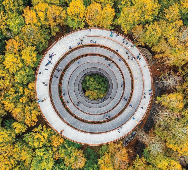 From Copenhagen: Round-Trip to Møns Klint and Forest Tower