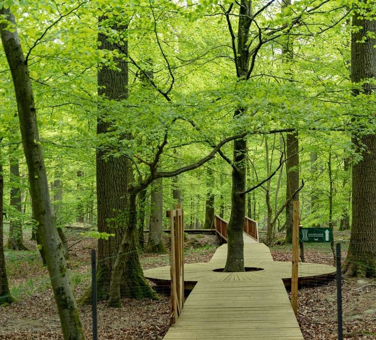 From Copenhagen: Round-Trip to Møns Klint and Forest Tower