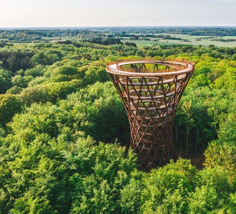 From Copenhagen: Round-Trip to Møns Klint and Forest Tower