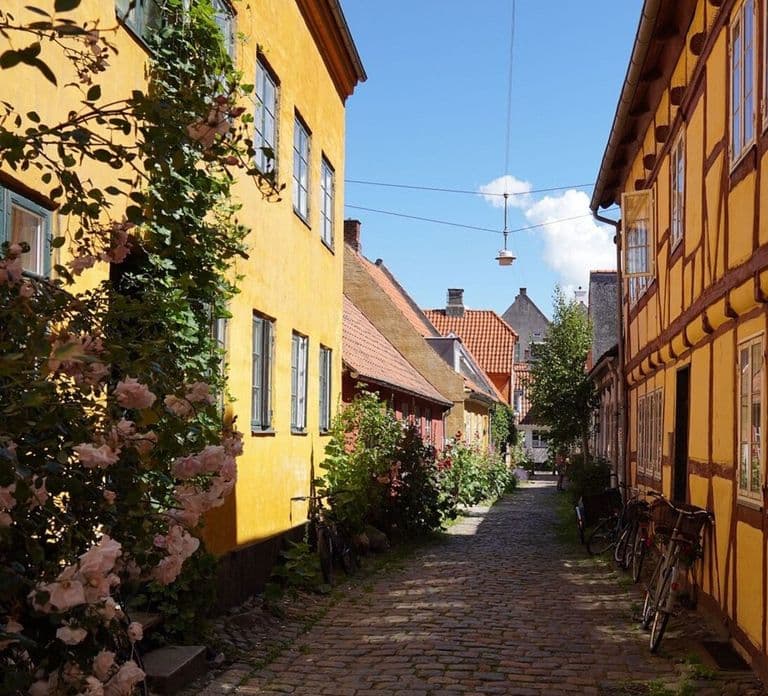 Gems of Helsingør – Tour privato a piedi per coppie