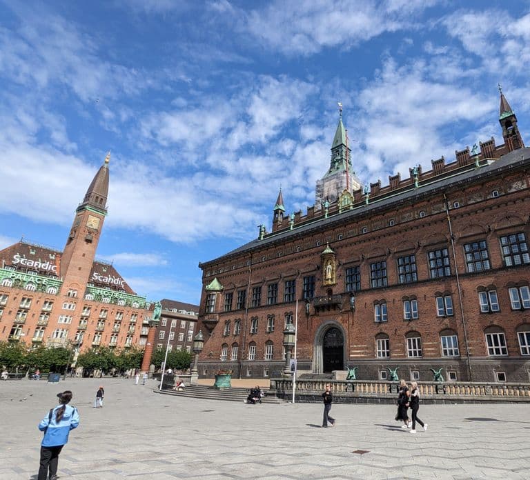 Mop in the heart of Copenhagen - private guided tour in French
