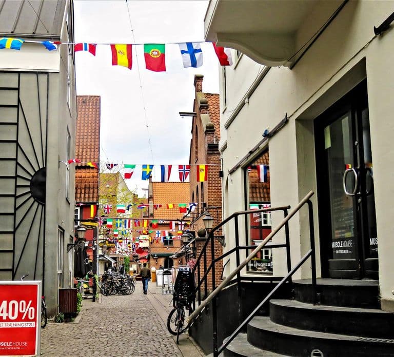 Odense Private Guided Walking Tour