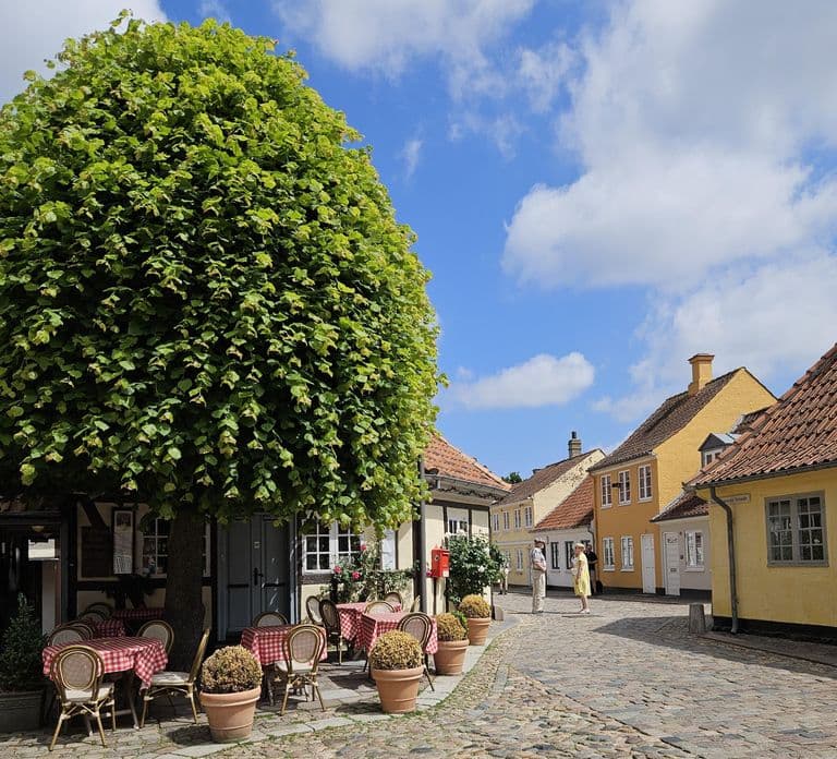 Odense: City walk - The new green Odense - City development