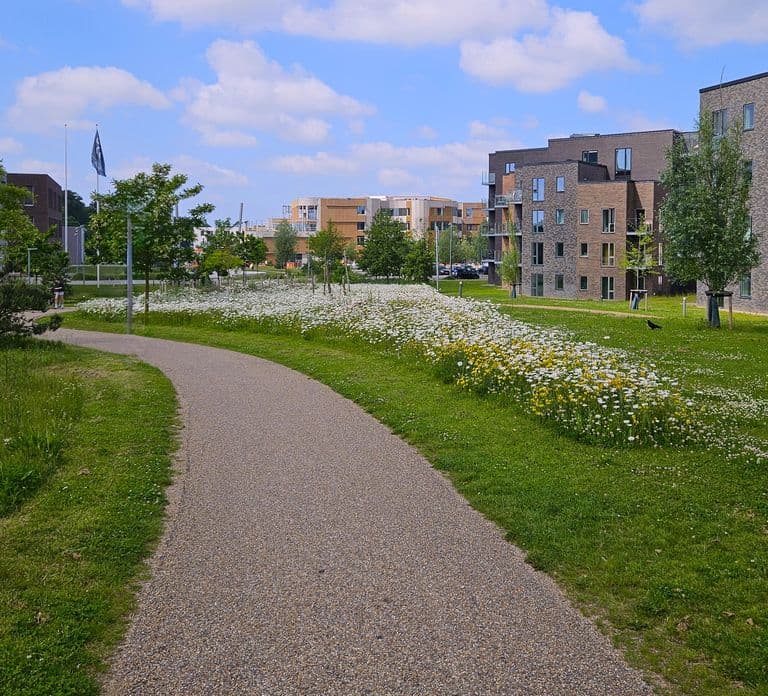 Odense: City walk - The new green Odense - City development