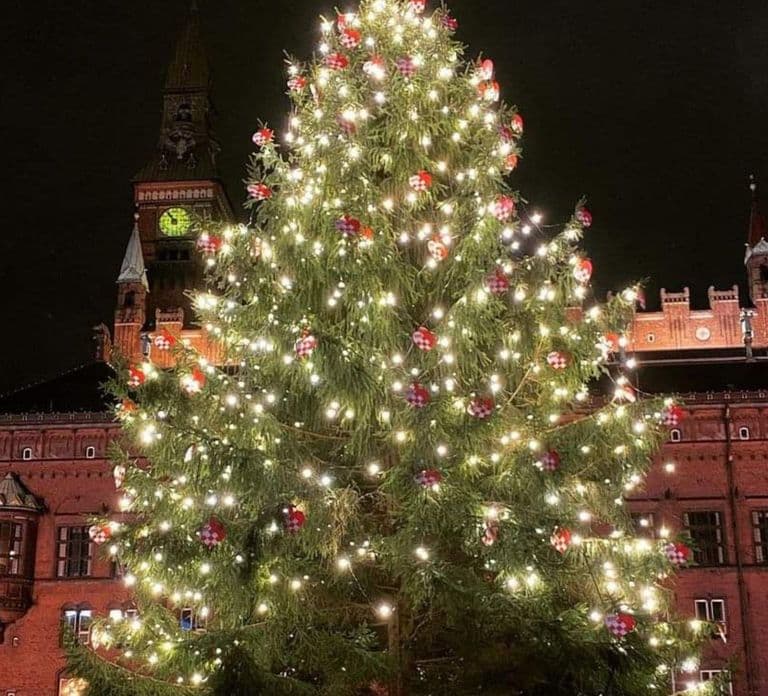 Private 90-Min Ultimate Christmas: Tivoli & Hygge