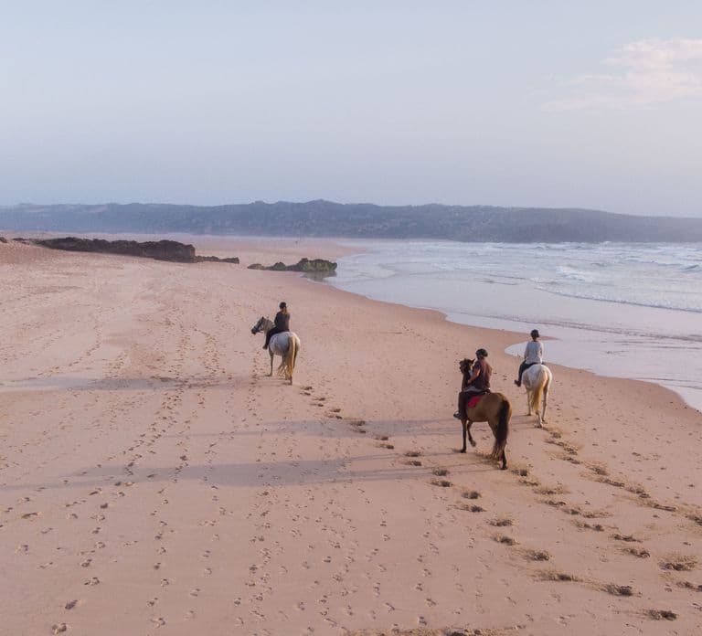 Algarve: Horse Riding Beach Tour at Sunset or Morning