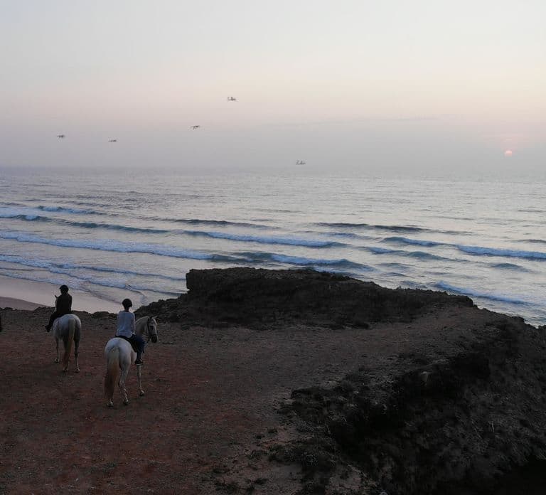 Algarve: Horse Riding Beach Tour at Sunset or Morning
