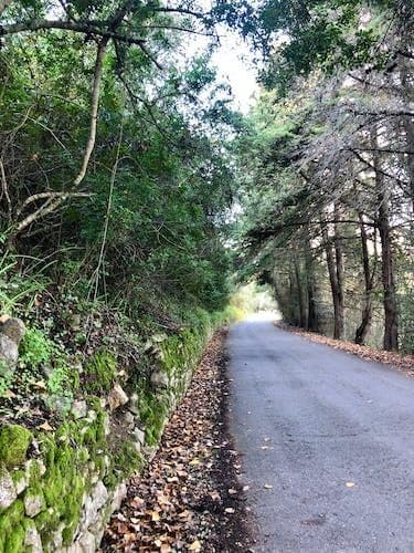 Alte Bike Tour with Coffee Break