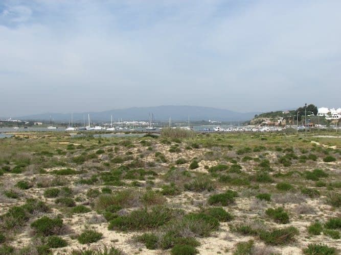 Alvor Dunes Birdwatching Tour
