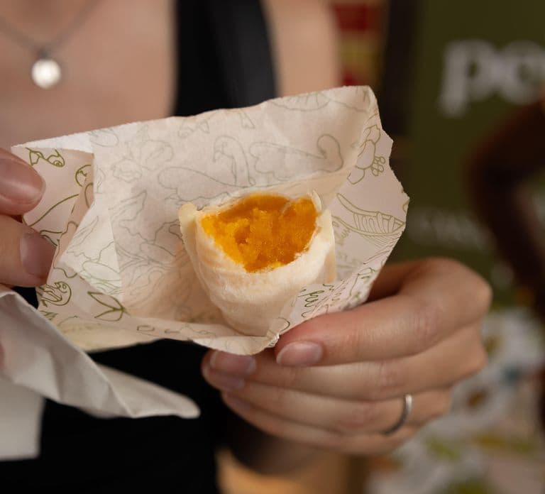 Aveiro: Half-Day Tour from Porto with Optional Cruise