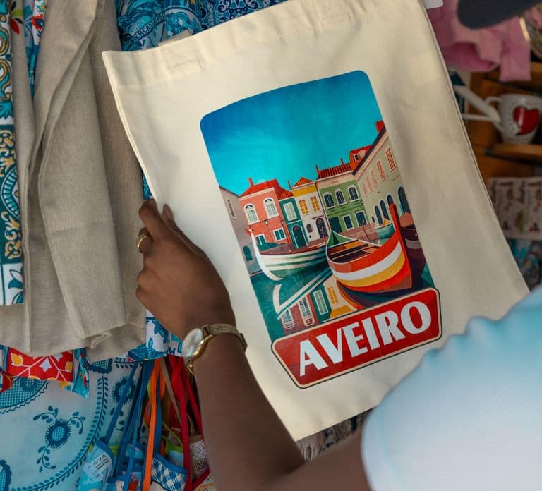 Aveiro: Half-Day Tour from Porto with Optional Cruise