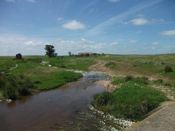 Castro Verde Birdwatching Tour with Dinner