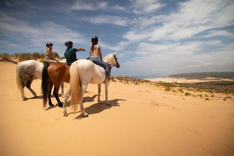 Discover Carrapateira Horse Riding Tour