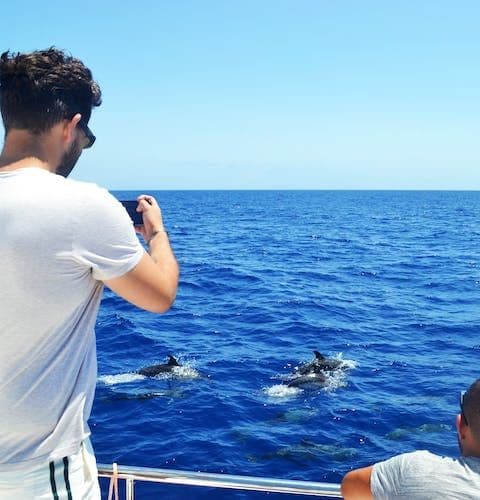 Dolphin and Whale Watching in Funchal with Luxury Catamaran all Inclusive