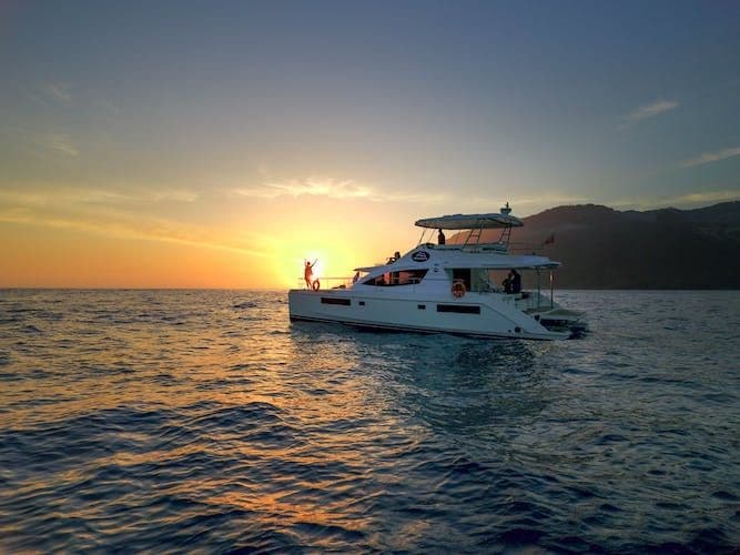 Dolphin and Whale Watching in Funchal with Luxury Catamaran all Inclusive