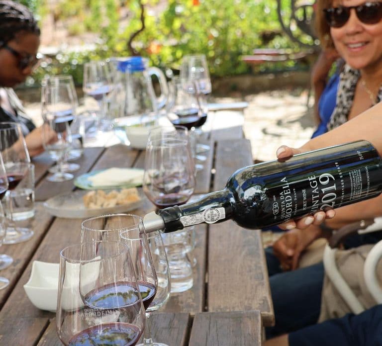 Douro Valley: Half-Day, with 1 winery & 1-h boat tour