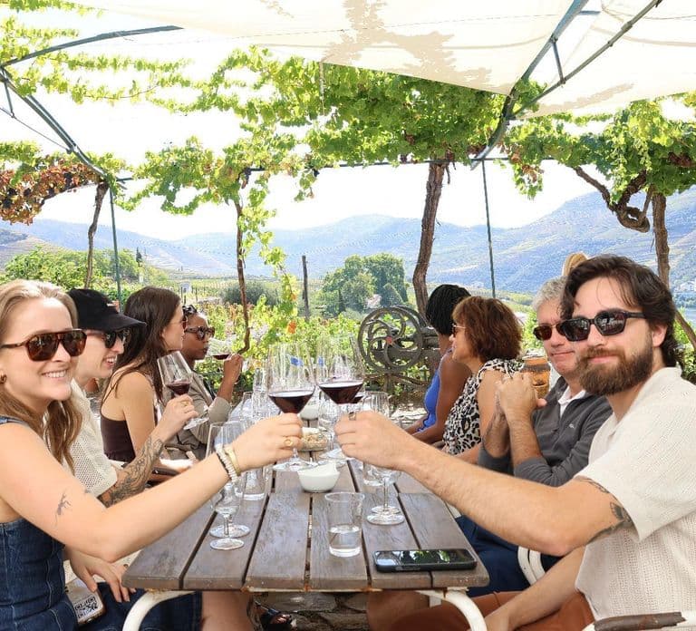 Douro Valley: Half-Day, with 1 winery & 1-h boat tour