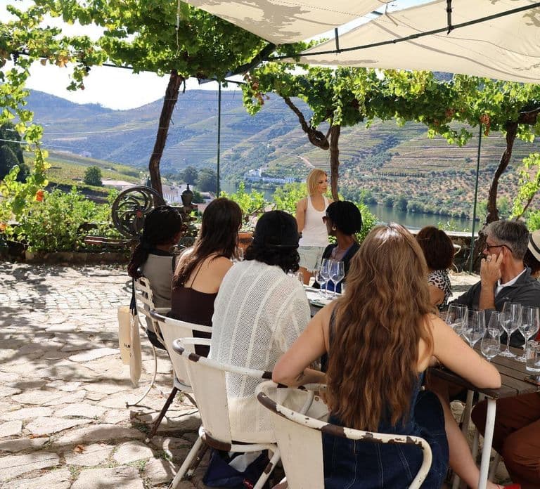 Vale do Douro: Meio dia, com 1 vinícola e passeio de barco de 1h