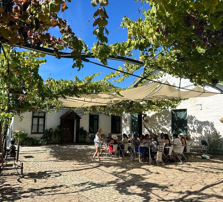 Vale do Douro: Meio dia, com 1 vinícola e passeio de barco de 1h