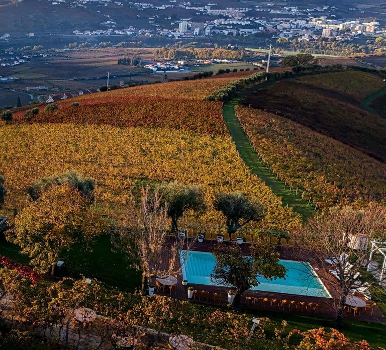 From Porto: Tastings at 2 Wineries, Chef's Lunch & Boat Tour