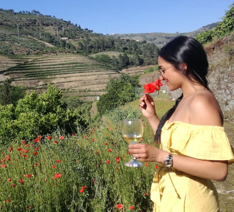 Da Porto: Degustazioni in 2 cantine, pranzo dello chef e tour in barca
