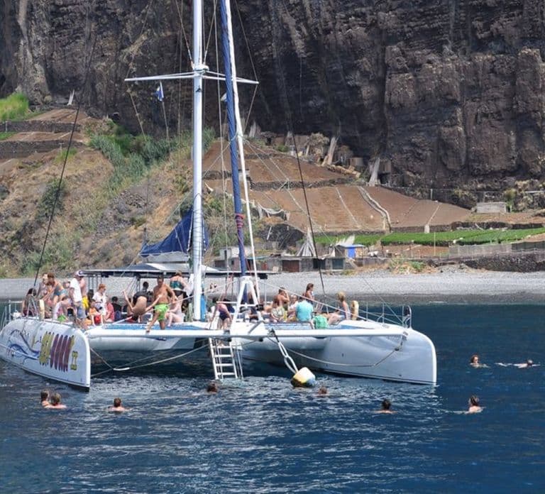 Funchal: Dolphin and Whale Watching Catamaran Cruise