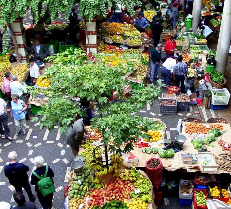 Funchal: Hop-On Hop-Off Bus Tour