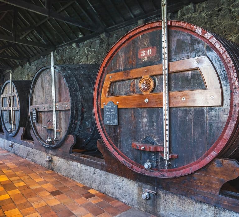 Porto: Burmester Cellar Tour with Tasting & Pairing Options