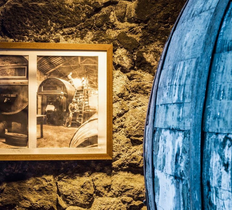 Oporto: Tour por las Bodegas Burmester con opciones de cata y maridaje