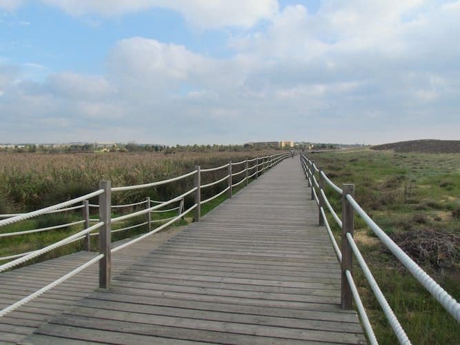 Lagoa Dos Salgados Half-Day Birdwatching Tour