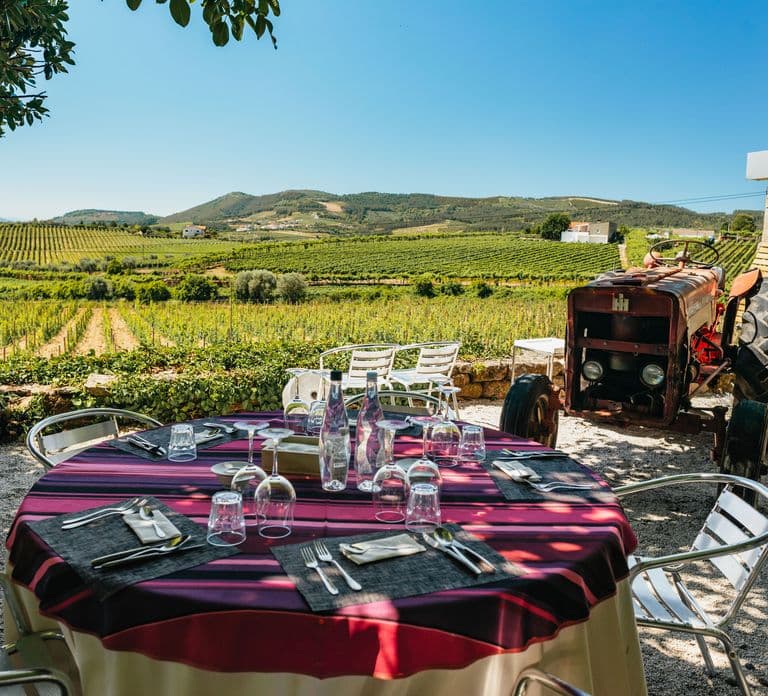 Porto: Douro Valley with Winery Lunch, Tastings & Cruise