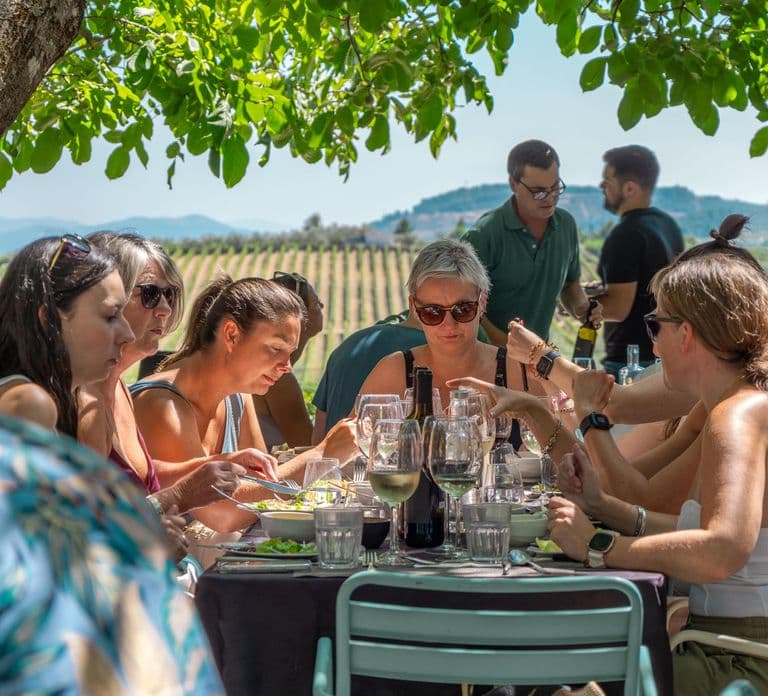 Porto: Valle del Douro con pranzo in cantina, degustazioni e crociera