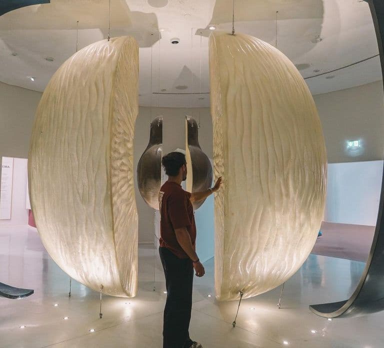 Porto: Taylor’s Port Cellar Tour & WOW The Wine Experience