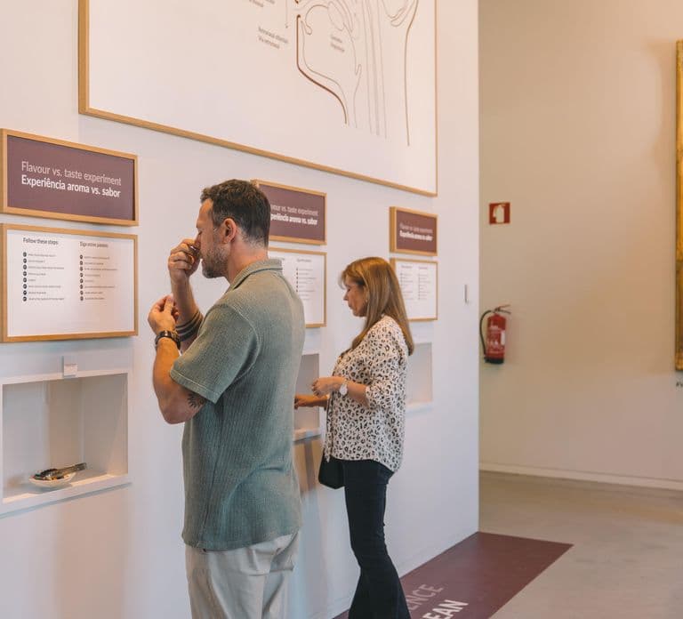 Porto: The Wine Experience, Best Wine Museum in the World