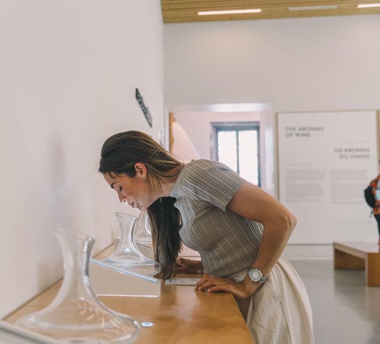Porto: The Wine Experience, Best Wine Museum in the World