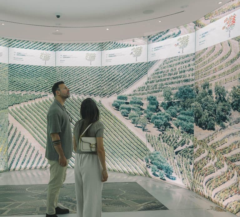 Porto: The Wine Experience, Best Wine Museum in the World